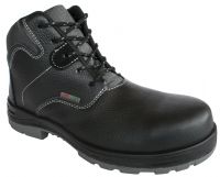 Borcegui INTREPID Deer